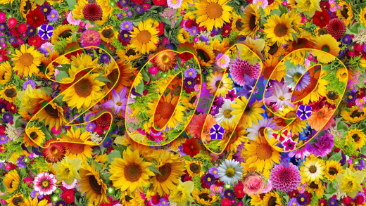 1424066 (a): :1920x1080